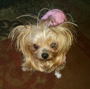 Meet your Posher, Theda